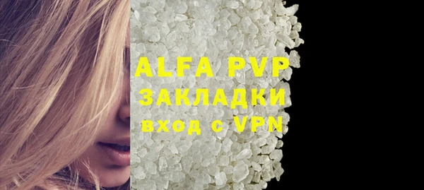 PSILOCYBIN Горнозаводск