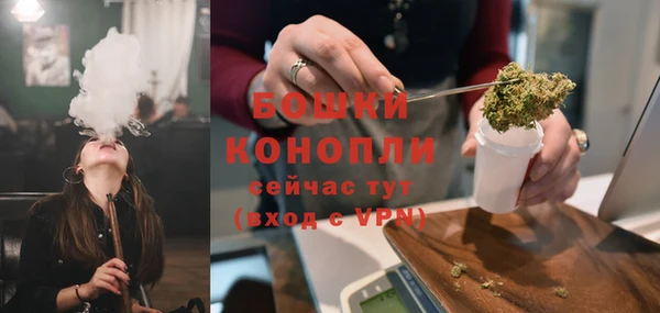 PSILOCYBIN Горнозаводск