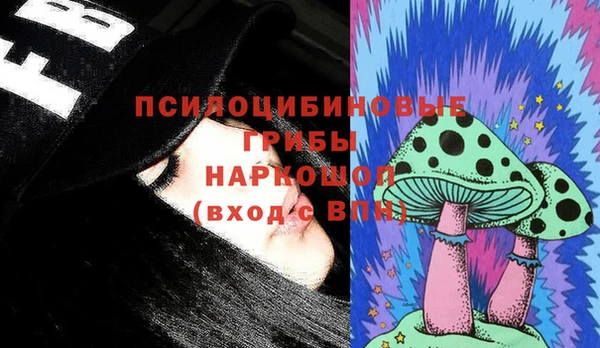 PSILOCYBIN Горнозаводск