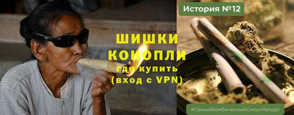 PSILOCYBIN Горнозаводск